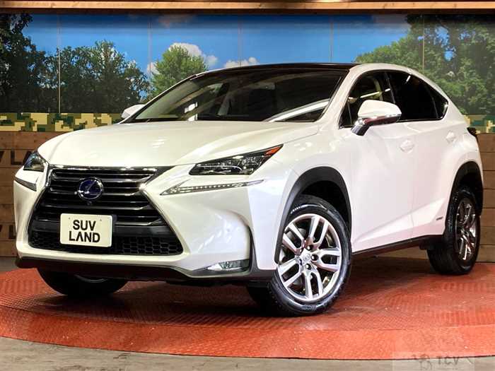 2017 Lexus NX
