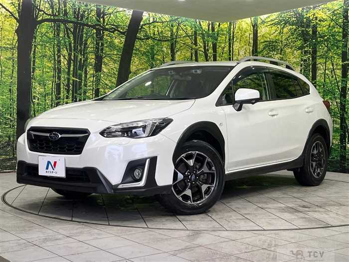 2019 Subaru Subaru Others