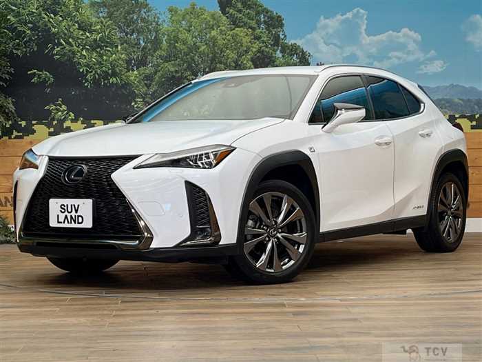 2019 Lexus Other