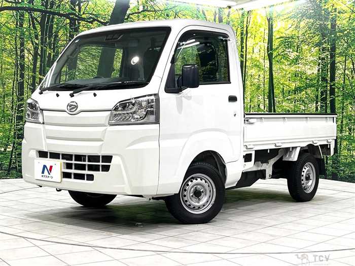 2019 Daihatsu Hijet Truck