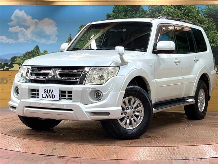 2011 Mitsubishi Pajero