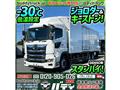 2017 Hino Hino Others