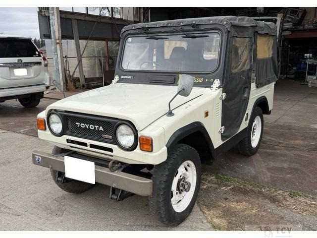 1980 Toyota Blizzard