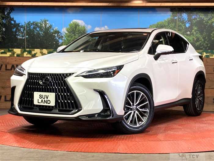2023 Lexus NX