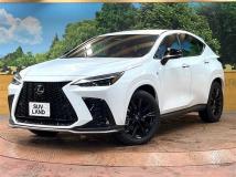 2024 Lexus NX