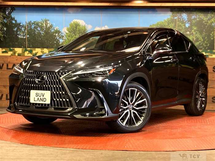 2023 Lexus NX