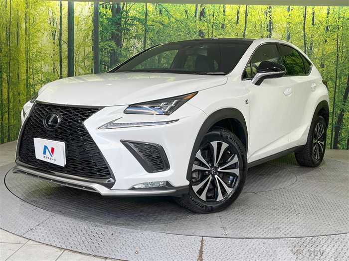 2018 Lexus NX