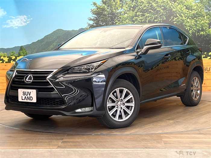 2017 Lexus NX
