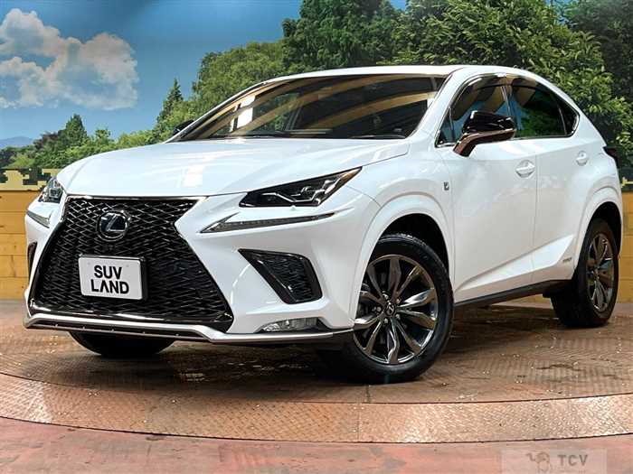 2018 Lexus NX