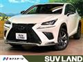 2019 Lexus NX
