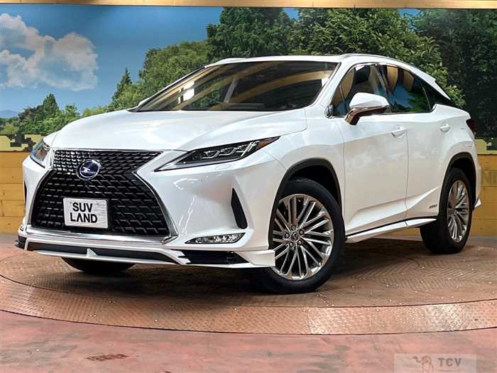 2020 Lexus RX