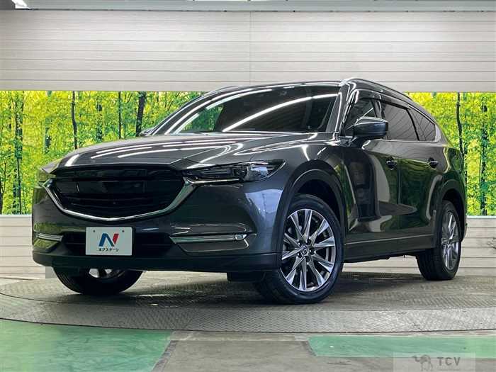 2019 Mazda CX-8