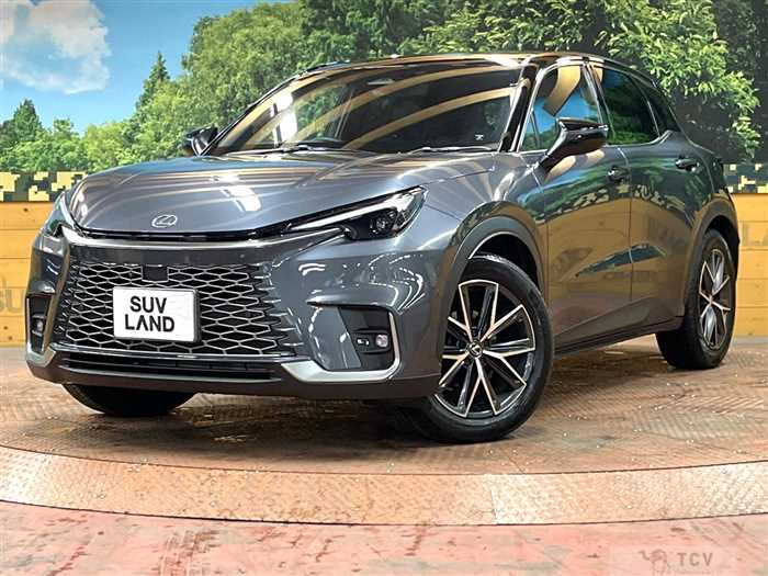 2024 Lexus Other