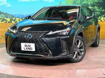 2019 Lexus Other