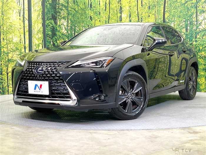 2019 Lexus Other