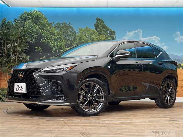 2023 Lexus NX