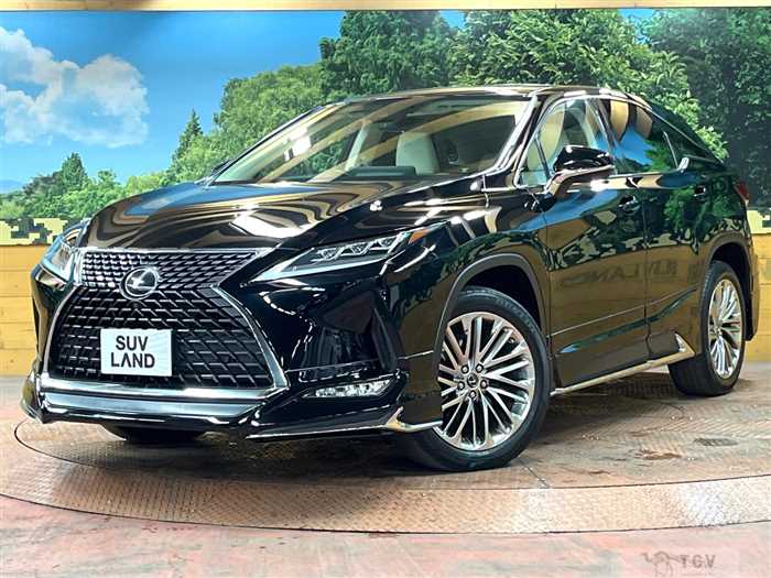 2020 Lexus RX