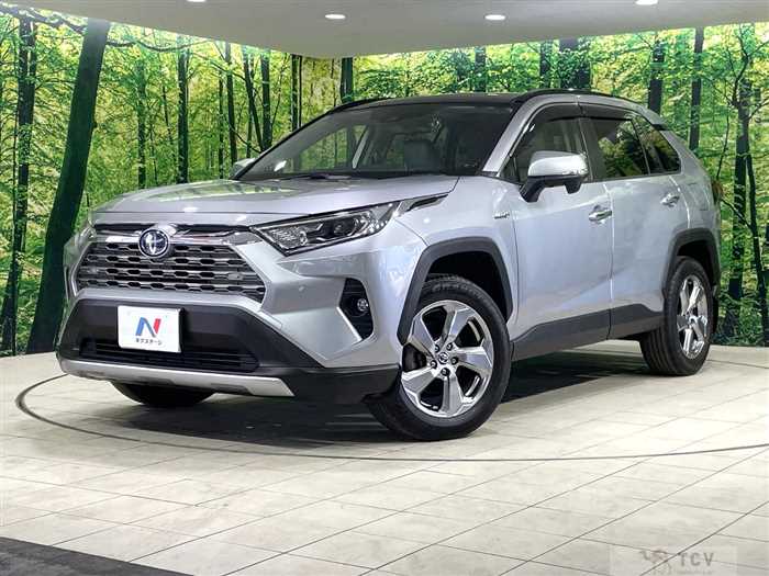 2019 Toyota RAV4