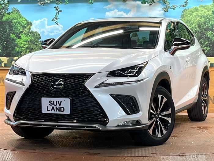 2021 Lexus NX