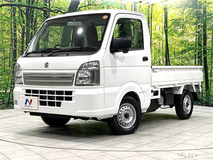 2025 Suzuki Carry Truck
