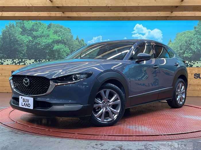 2020 Mazda Mazda Others