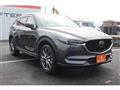 2019 Mazda Mazda Others
