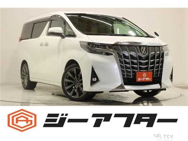 2021 Toyota Alphard G