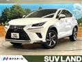 2019 Lexus NX