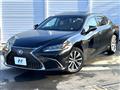 2019 Lexus ES