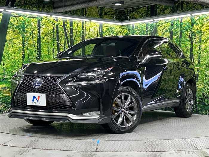 2015 Lexus NX