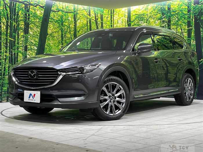 2019 Mazda CX-8