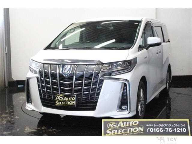 2019 Toyota Alphard G