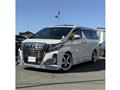 2017 Toyota Alphard G