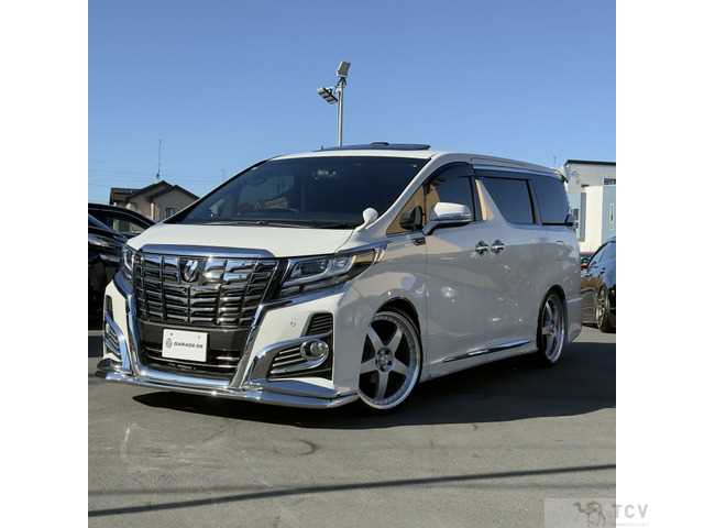 2017 Toyota Alphard G