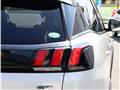 2018 Peugeot Peugoet Others