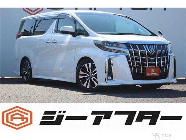 2019 Toyota Alphard G