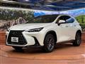 2024 Lexus NX