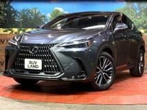 2023 Lexus NX
