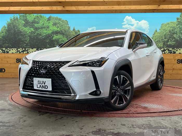 2020 Lexus Other