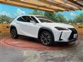 2020 Lexus Other