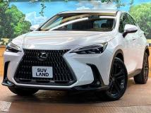 2022 Lexus NX