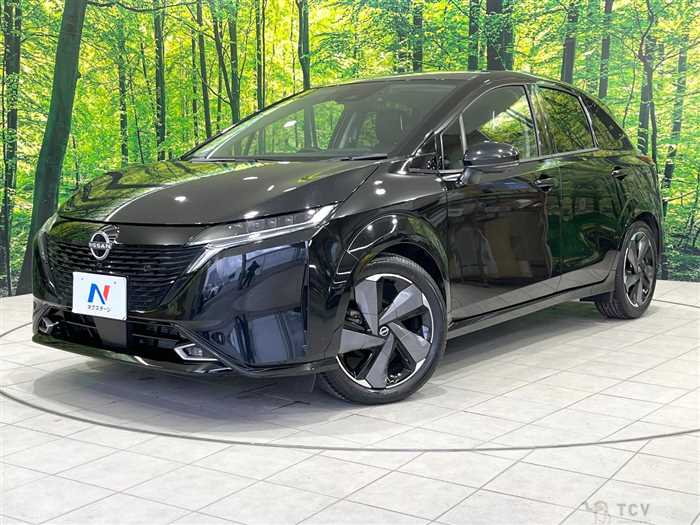 2021 Nissan Nissan Others