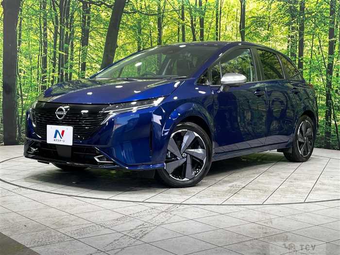 2021 Nissan Nissan Others