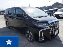 2022 Toyota Alphard G