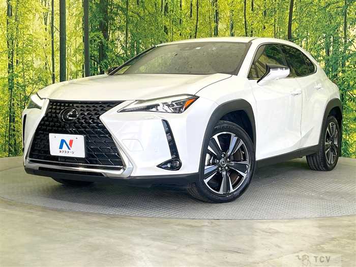 2023 Lexus Other
