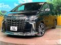 2019 Toyota Alphard