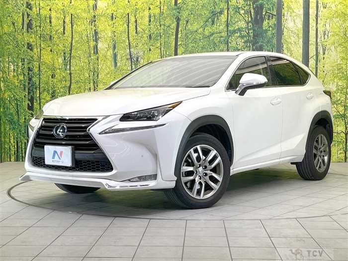 2016 Lexus NX