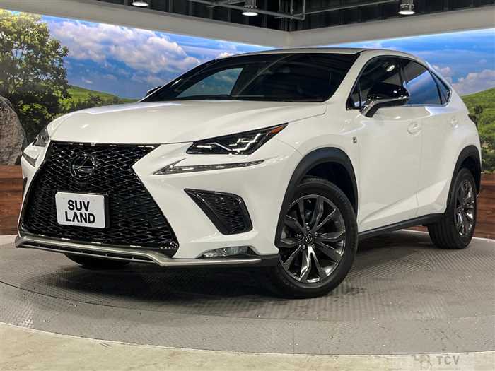 2018 Lexus NX