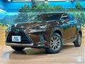 2019 Lexus NX
