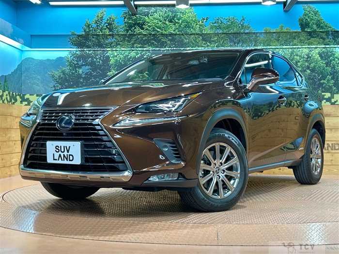 2019 Lexus NX